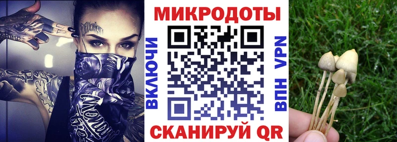 Купить закладки  Георгиевск  Псилоцибиновые грибы мицелий 